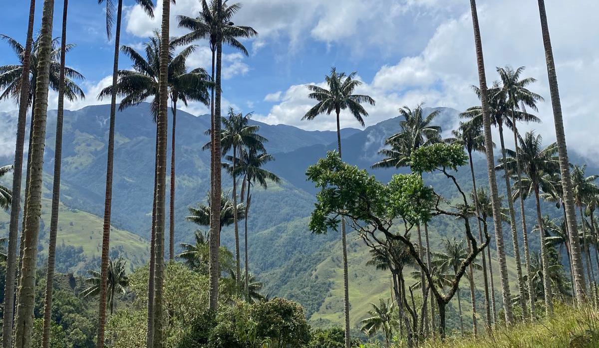 Le coût de la vie en Colombie : budget, logement, nourriture et transports