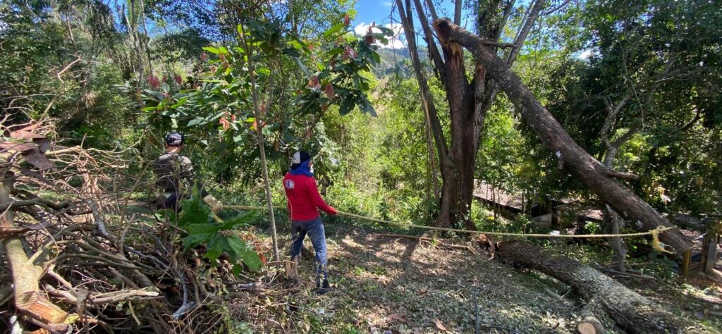 Volontariats en Colombie