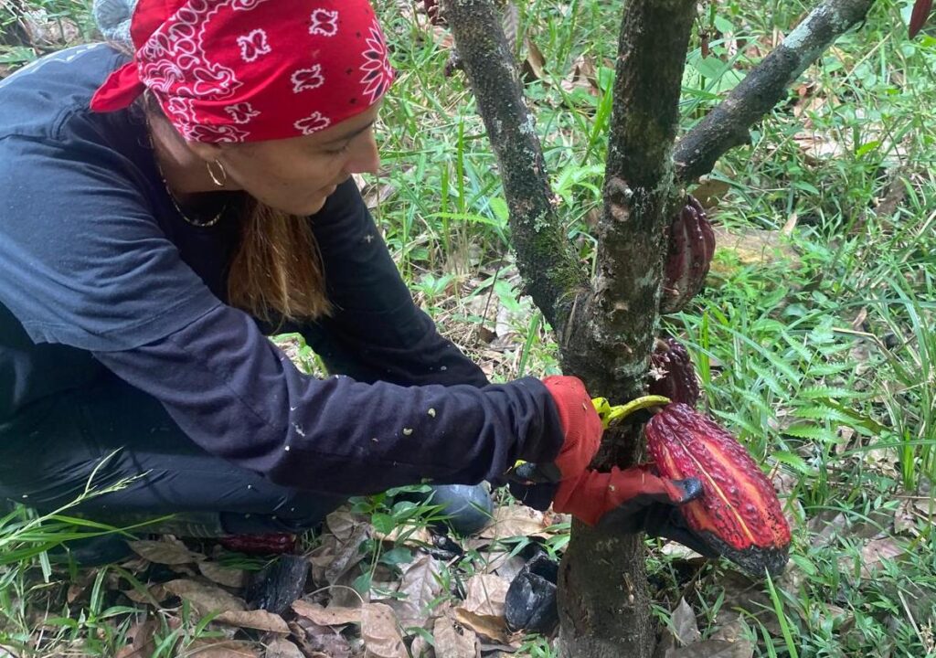 Volontariats en Colombie