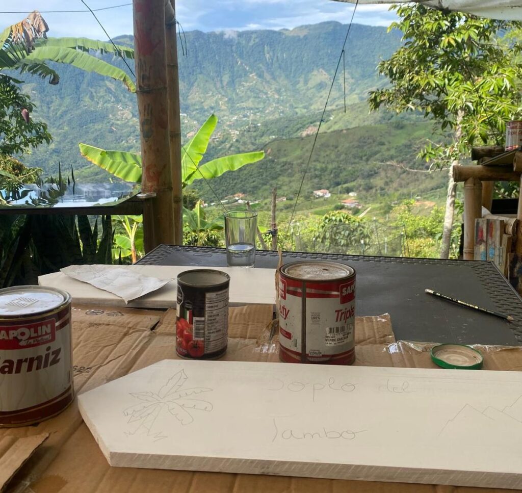 Volontariats en Colombie