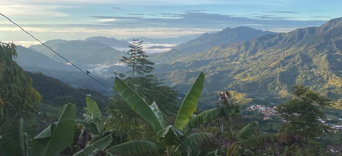 Volontariats en Colombie : explorer, partager, se découvrir