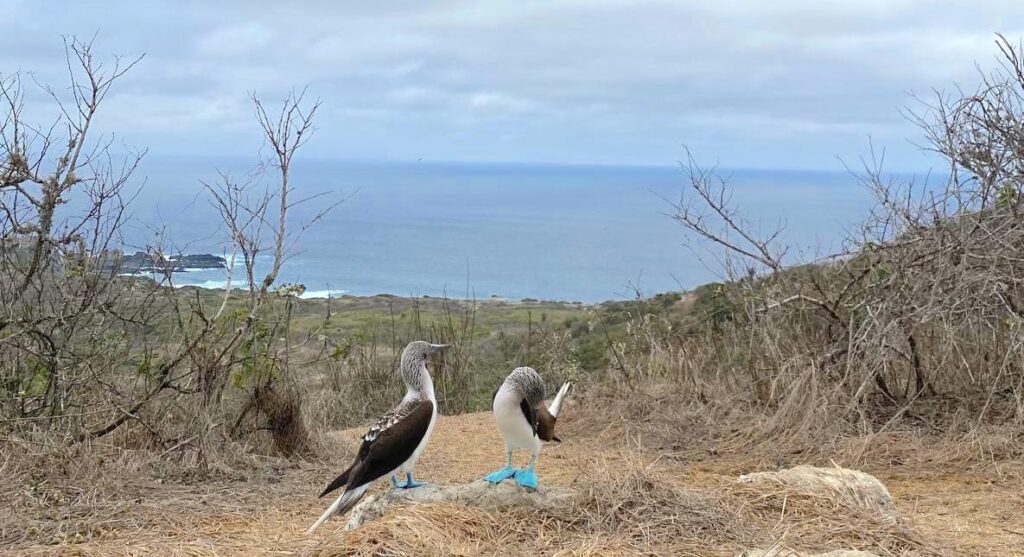 choisir PVT Équateur
