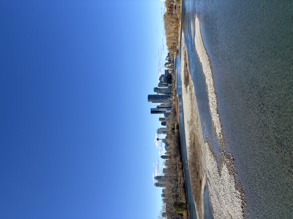 Skyline de Calgary depuis St Patrick's Island