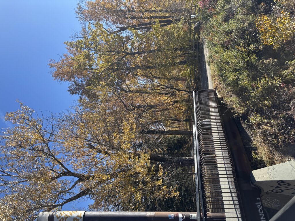 Elbow River à Inglewood