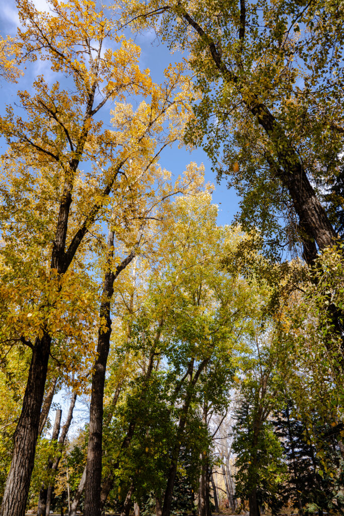 Prince's Island Park Calgary
