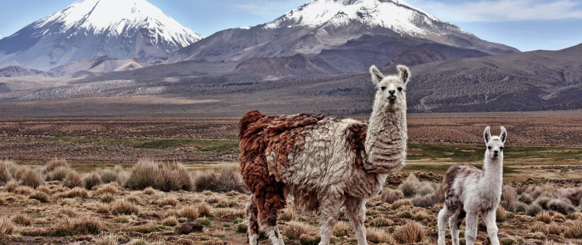 Quand et où partir en équateur ? Meilleurs saisons et activités