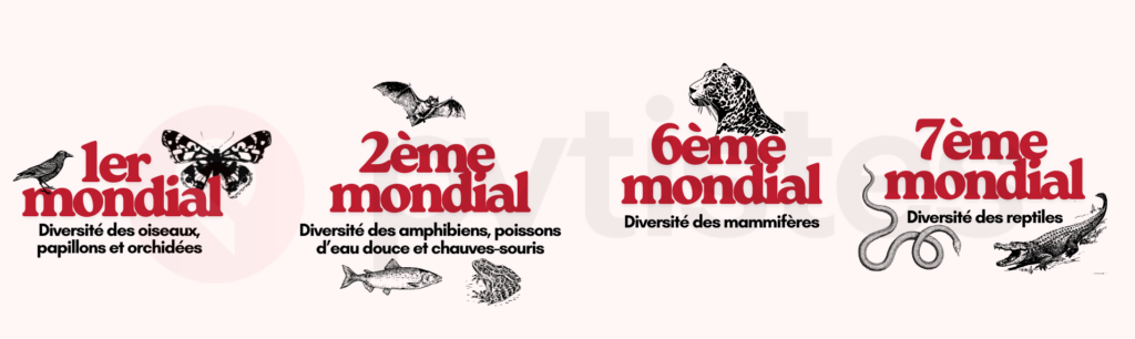 Les animaux de colombie