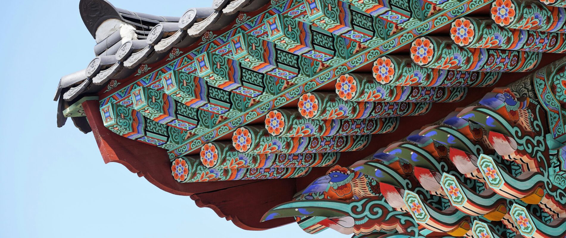 Du visa étudiant au visa de travail (E-7) : le parcours d’Émilie en Corée