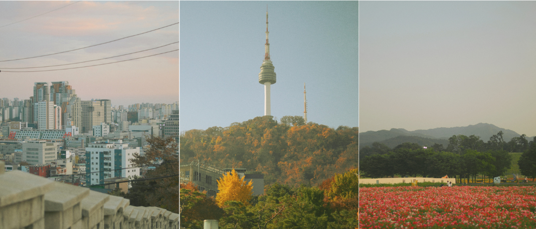 Témoignage PVT Corée du Sud : vivre et voyager en Corée avec Nassima