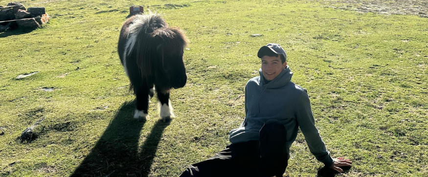 PVT Australie sans filtre : Uber Eats, ferme laitière et Noël à l’hôpital