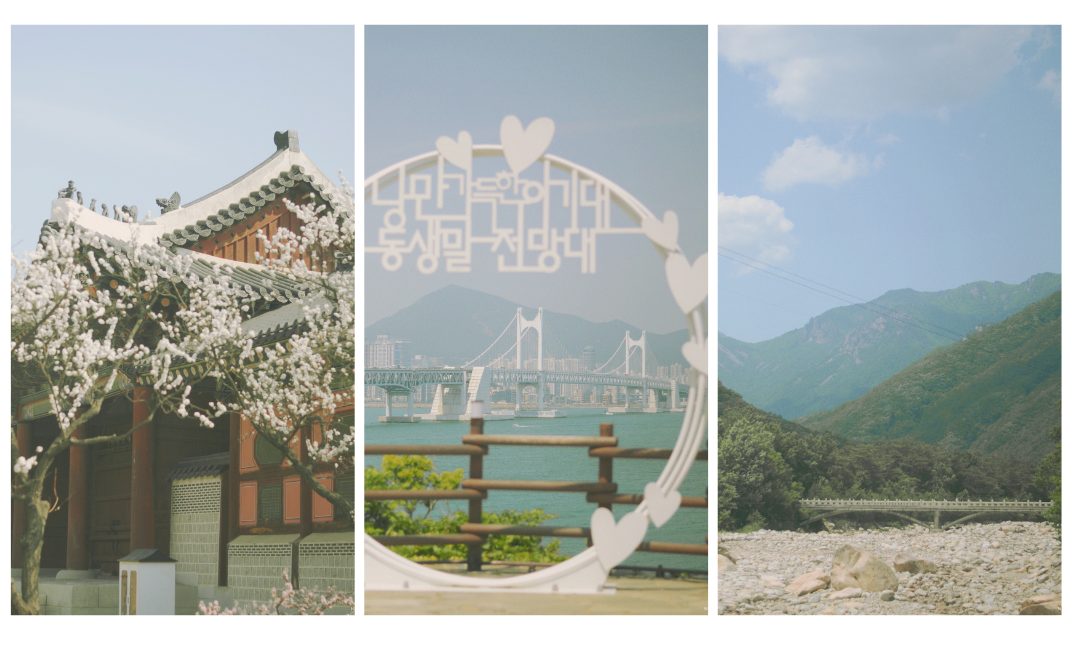 temoignage pvt coree nassima