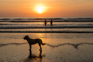 Surf Équateur et Pérou