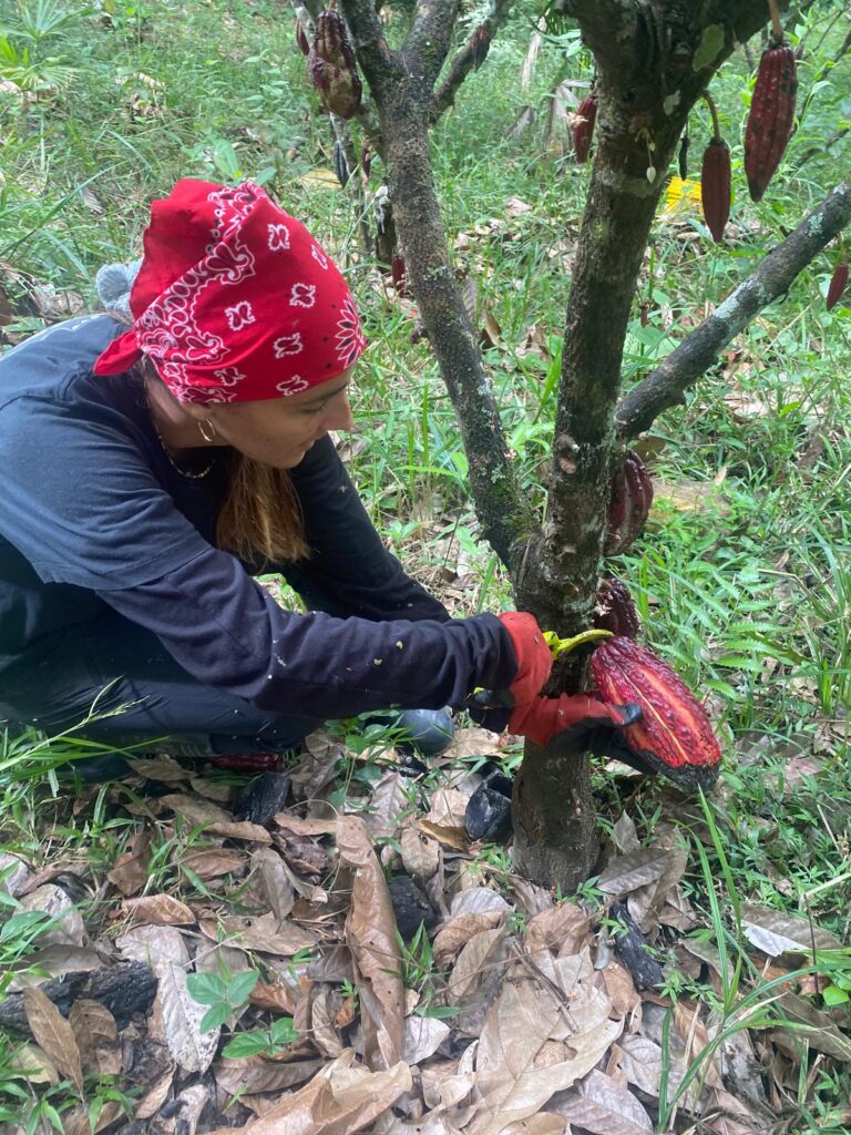 Volontariat en Amérique du Sud