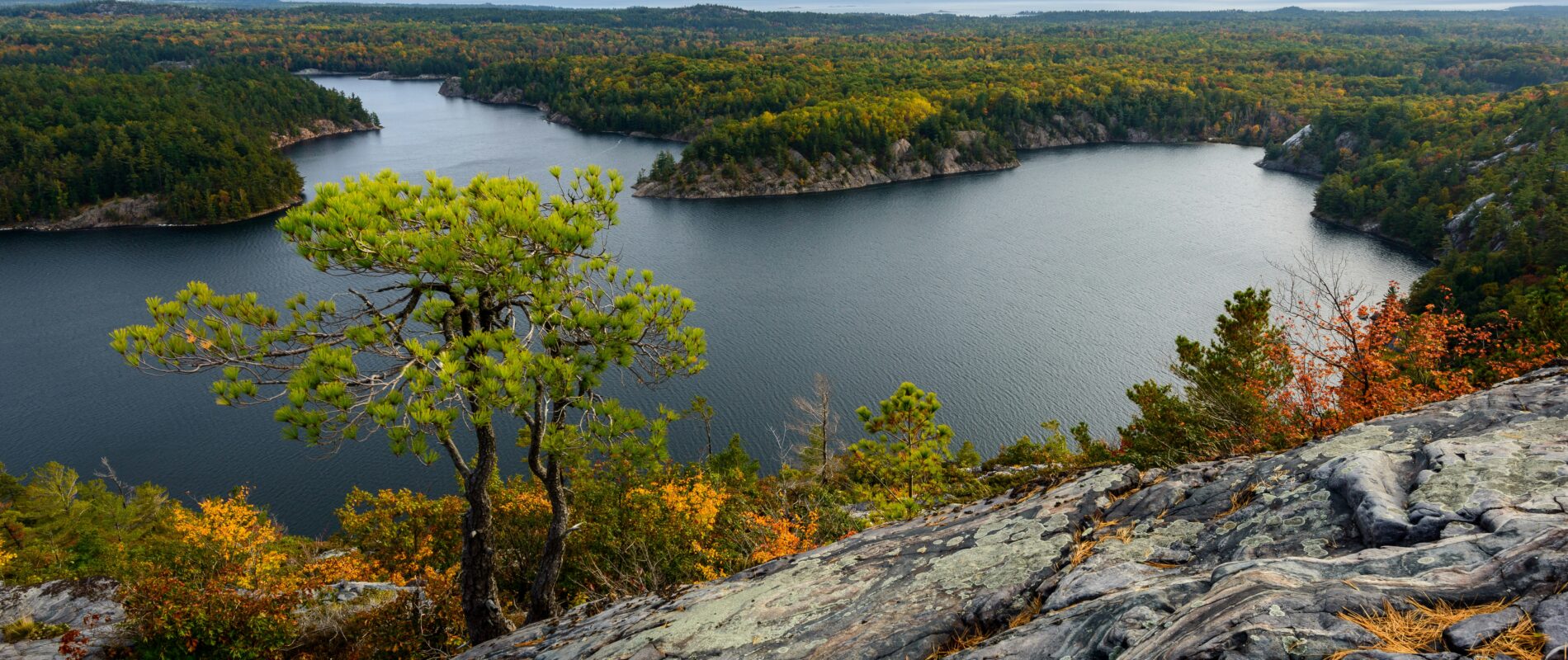 Obtenir une photo card (ou carte-photo) en Ontario