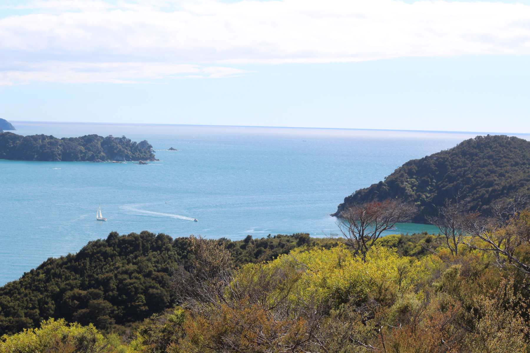 Nouvelle-Zélande sans van