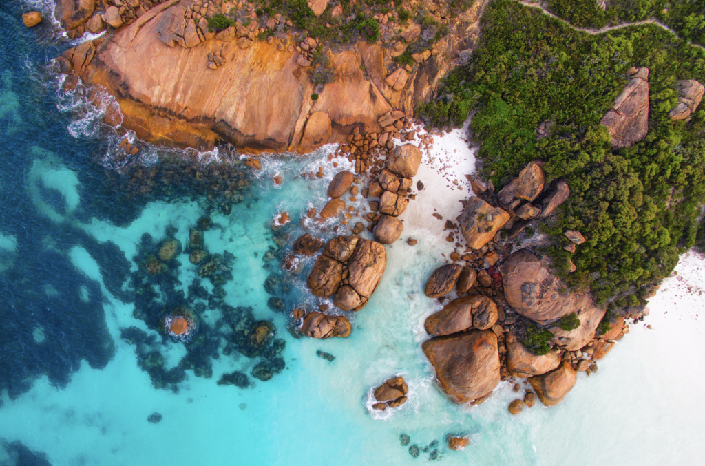 Salon virtuel du PVT Australie 2026