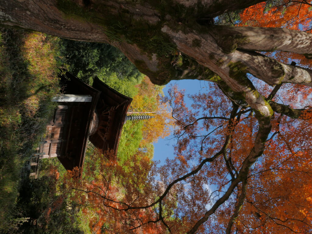 Hôtelier au Japon