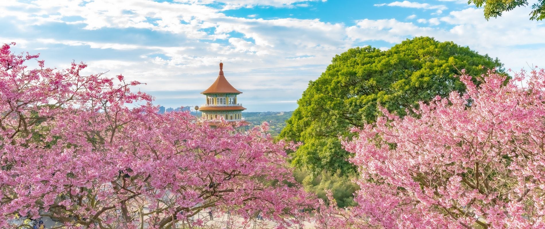 PVT Taïwan : la destination idéale quand on aime le Japon